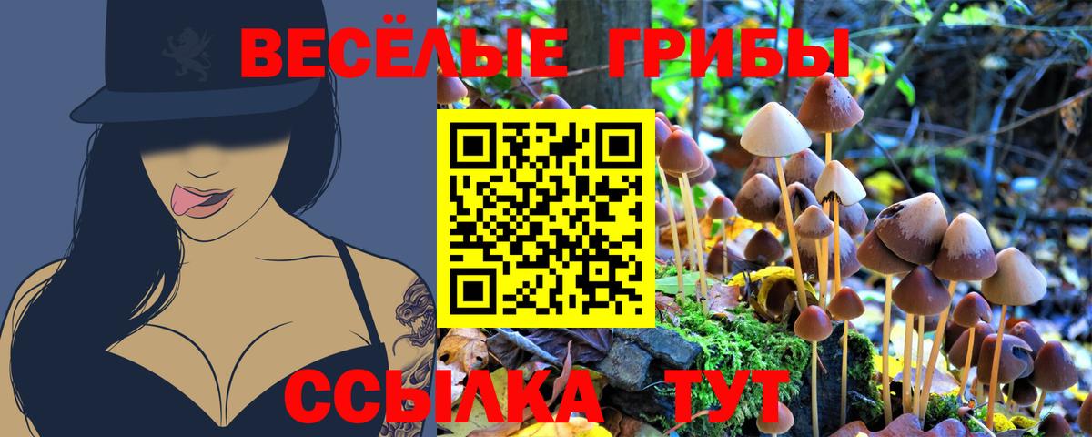 Галлюциногенные грибы Magic Shrooms  как найти закладки  Кызыл  Вход с VPN 