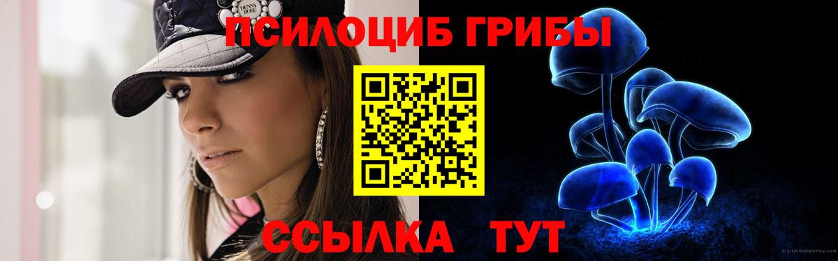 Псилоцибиновые грибы GOLDEN TEACHER Кызыл